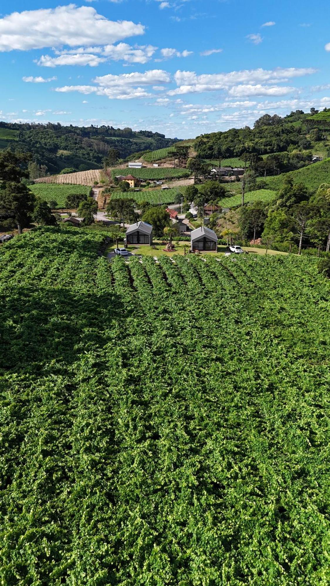 Cabanas Le Vigne Pinto Bandeira Exterior foto